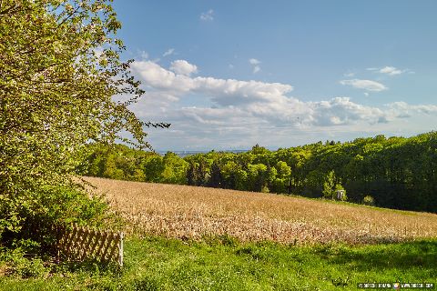 Gemeinde Marktl Landkreis Altötting Leonberg Biergarten Aussicht (Dirschl Johann) Deutschland AÖ